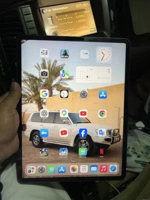 Apple iPad Pro 256 GB in Al Dhahirah