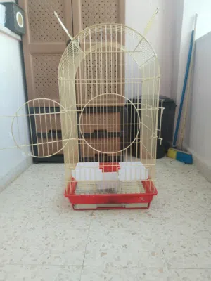 قفص كاسكو كبير لون ذهبي للبيع بحال الوكاله