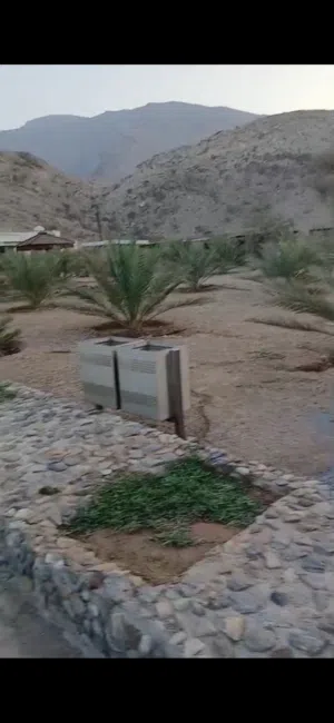 Farm Land for Sale in Al Batinah Nakhl
