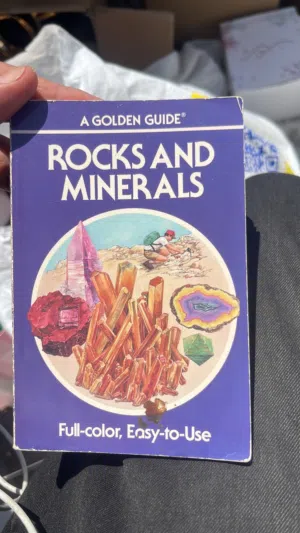 كتب ورويات