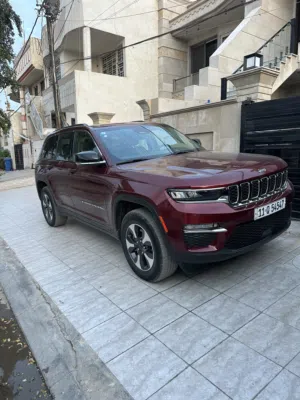 جيب لاريو هايبرد موديل 2024 للبيع