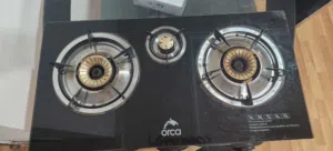 stove with ignitor