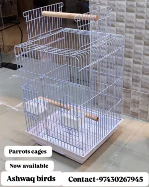 parrot cage
