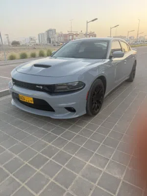 Used Dodge Charger in Muscat