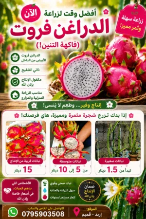الآن أفضل وقت لزراعة الدراغن فروت (فاكهة التنين)!   إذا بدك تزرع شجرة مثمرة ومميزة، هاي فرص