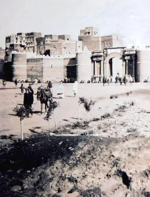 محمد بن حسان 