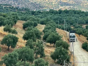 Mixed Use Land for Sale in Ajloun Kuforanja