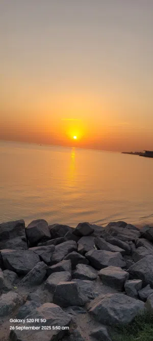 إسكندر عوض 