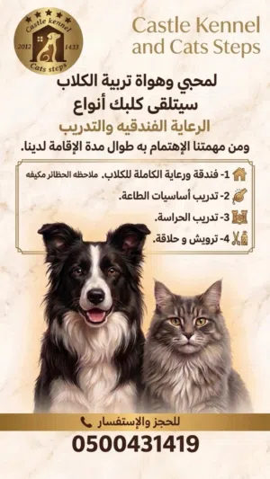 فندقة وتدريب كلاب جدة