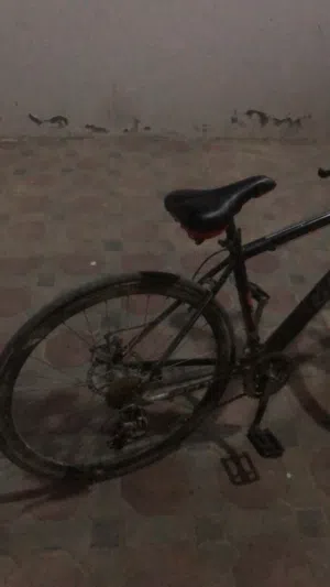 السيكل بحاله جيده جدااا قابل بحد المعقوللللل