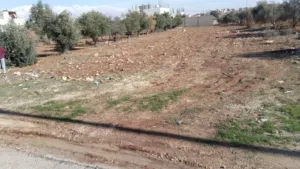 Residential Land for Sale in Madaba Al-Faisaliyyah