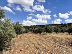 Farm Land for Sale in Zarqa Al-Alouk