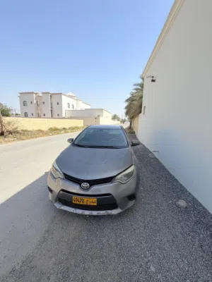 كورولا 2014 للتصدير فقط