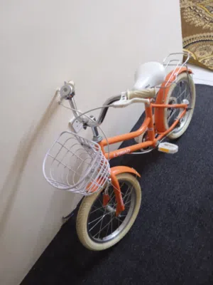 دراجه هوائيه للبيع