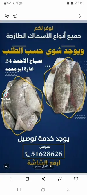 صباح الاحمد فرع جمعية B4 جميع الأسماك المشويه والطازجه