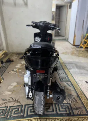 سكنس فحل نوزل