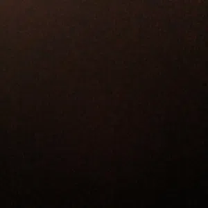 ابو امير 
