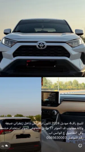 Toyota . RAV 4 . 2024 . New1