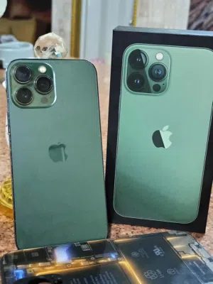 iPhone 13 Pro Max 256