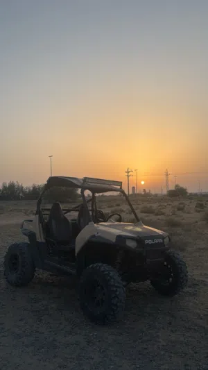 Polaris 800cc Rzr 2010