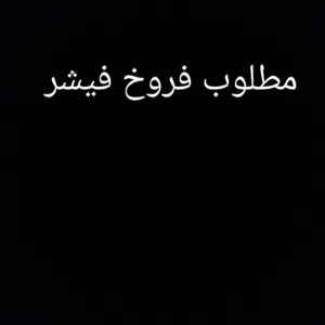 مطلوب فروخ فيشر