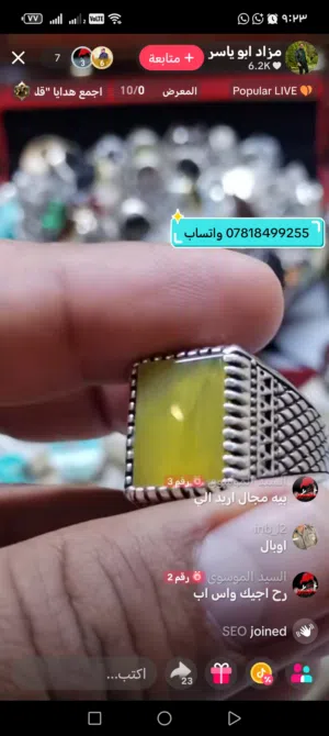 السيد الموسوي