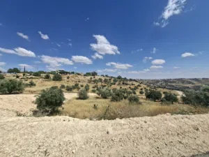 Residential Land for Sale in Amman Badr Jdedeh