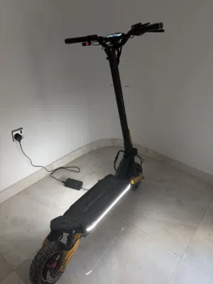 Kugoo lx10+