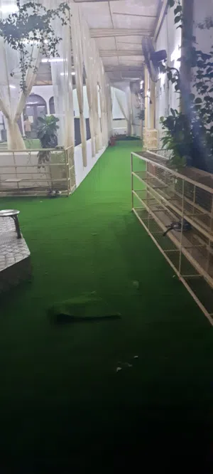 سجاد المساجد التركي والايراني وكذلك سجاد المنازل والمكاتب و العشب الصناعي