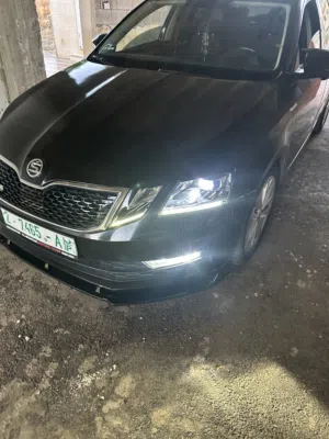Used Skoda Octavia in Jenin
