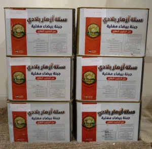 جبنة غنم مغلية