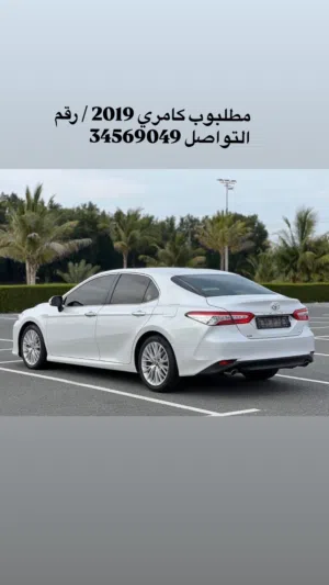 مطلوب كامري