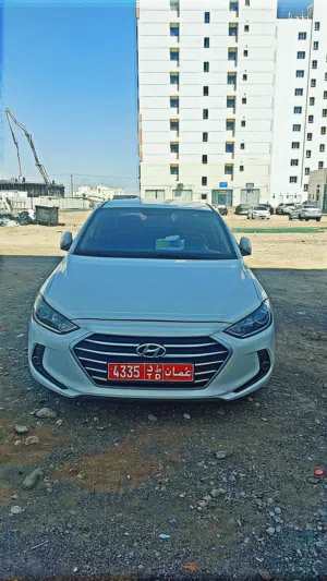 Used Hyundai Elantra in Muscat