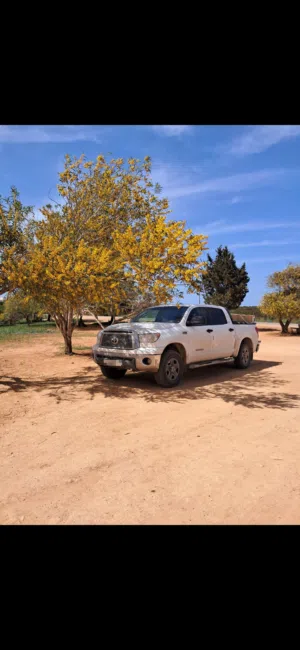 Used Toyota Tundra in Benghazi
