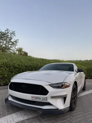 ecoboost Ford Mustang 2020