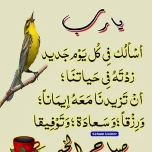 رائد 