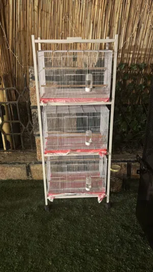 أقفاص مع الاستناد و المشربيات