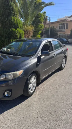 Used Toyota Corolla in Amman