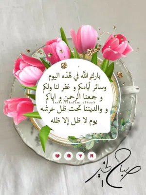 ابو زيد 