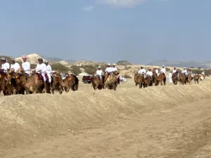 الي يريد يادب بوشه شوف الوصف