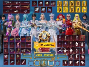 Pubg Accounts and Characters for Sale in Al Batinah