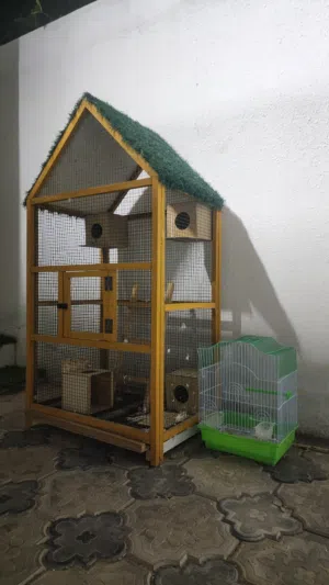 قفص طيور للبيع