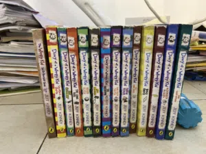 Set of 14 books( Diary of Wimpy kid)