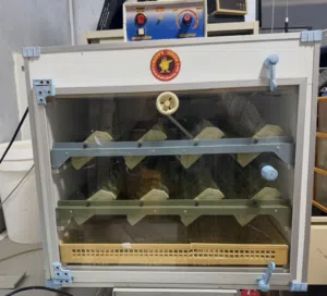 فقاسه تيلنديه 144 بيضه