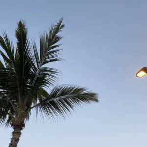 الفارسي 