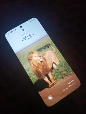 Honor Honor X9b 256 GB in Al Dakhiliya