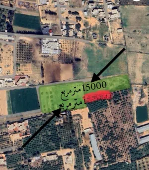 Mixed Use Land for Sale in Tripoli Qasr Bin Ghashir