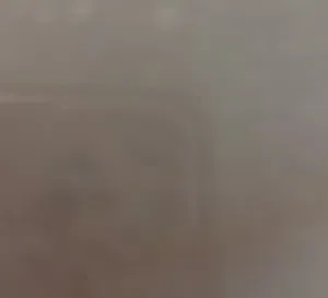 محمد 