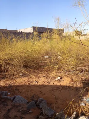 Residential Land for Sale in Tripoli Bier A-Tota