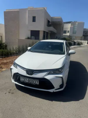 Used Toyota Corolla in Amman
